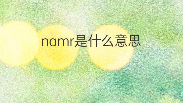 namr是什么意思 namr的中文翻译、读音、例句