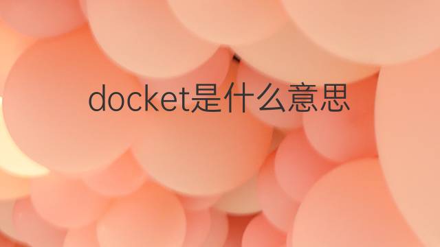 docket是什么意思 docket的中文翻译、读音、例句