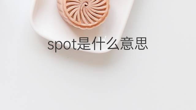 spot是什么意思 spot的中文翻译、读音、例句