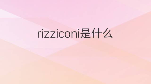 rizziconi是什么意思 rizziconi的中文翻译、读音、例句
