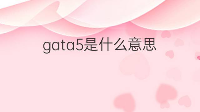 gata5是什么意思 gata5的中文翻译、读音、例句