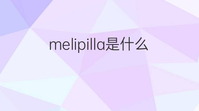 melipilla是什么意思 melipilla的中文翻译、读音、例句