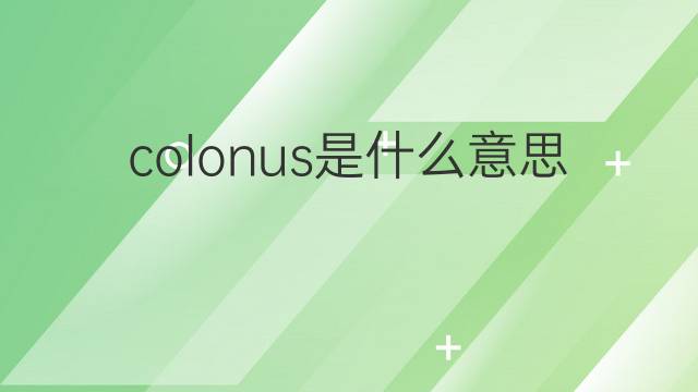 colonus是什么意思 colonus的中文翻译、读音、例句