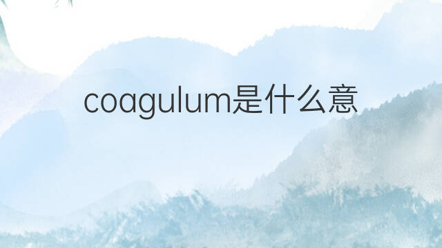 coagulum是什么意思 coagulum的中文翻译、读音、例句