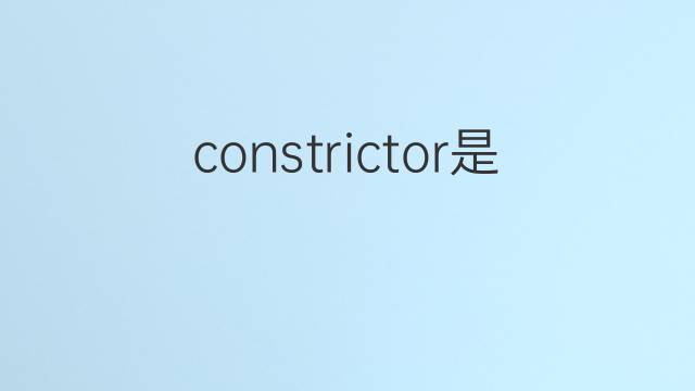 constrictor是什么意思 constrictor的中文翻译、读音、例句
