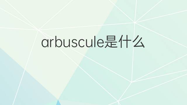 arbuscule是什么意思 arbuscule的中文翻译、读音、例句