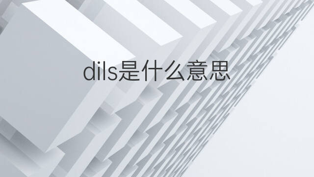 dils是什么意思 dils的中文翻译、读音、例句