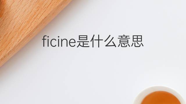ficine是什么意思 ficine的中文翻译、读音、例句