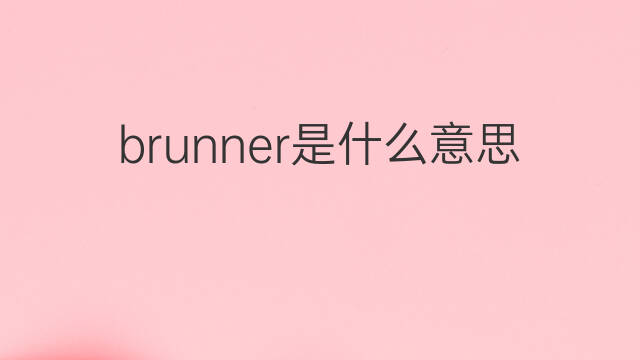 brunner是什么意思 brunner的中文翻译、读音、例句