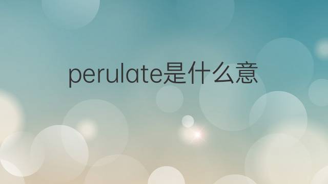 perulate是什么意思 perulate的中文翻译、读音、例句