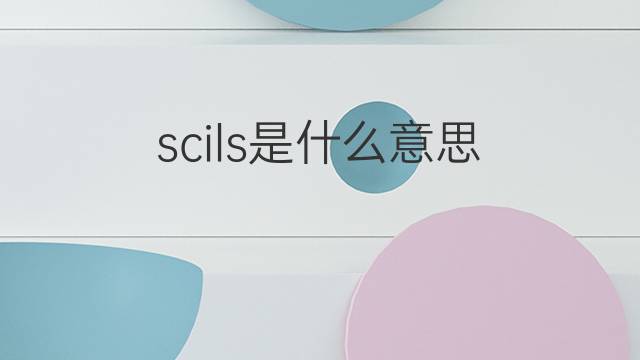 scils是什么意思 scils的中文翻译、读音、例句