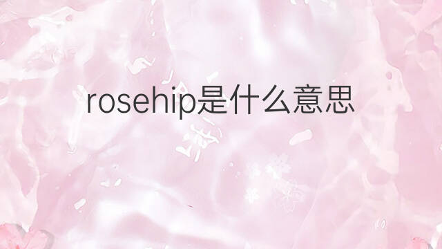 rosehip是什么意思 rosehip的中文翻译、读音、例句