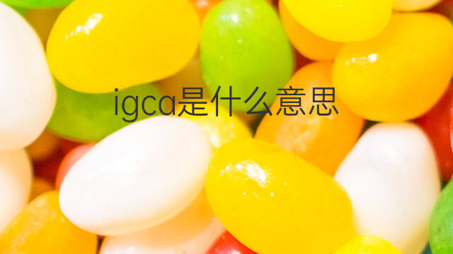 igca是什么意思 igca的中文翻译、读音、例句