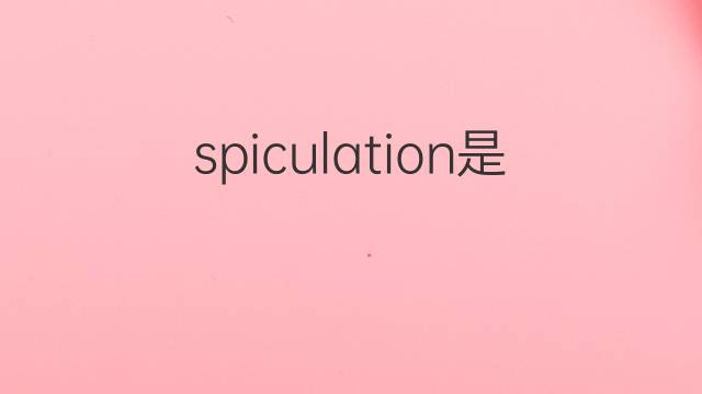 spiculation是什么意思 spiculation的中文翻译、读音、例句