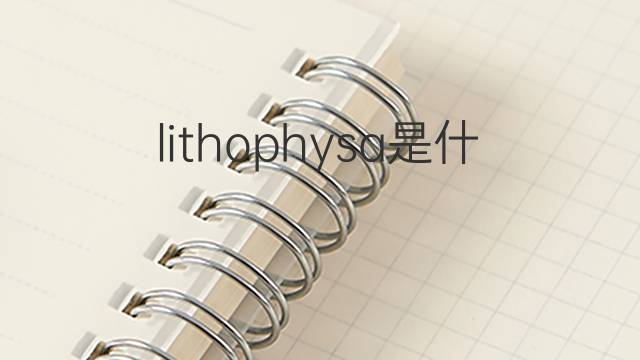 lithophysa是什么意思 lithophysa的中文翻译、读音、例句