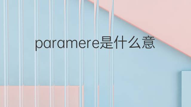 paramere是什么意思 paramere的中文翻译、读音、例句