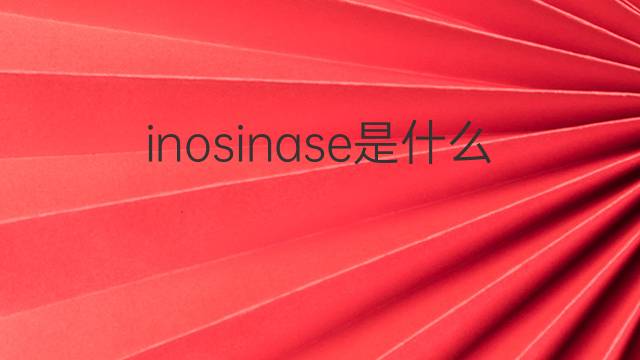 inosinase是什么意思 inosinase的中文翻译、读音、例句