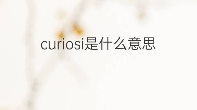 curiosi是什么意思 curiosi的中文翻译、读音、例句