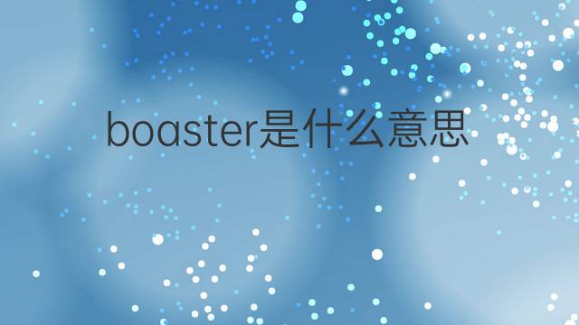 boaster是什么意思 boaster的中文翻译、读音、例句