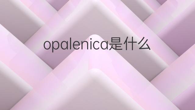 opalenica是什么意思 opalenica的中文翻译、读音、例句