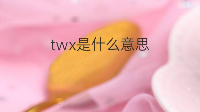 twx是什么意思 twx的中文翻译、读音、例句