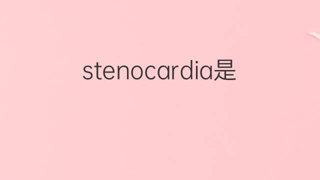 stenocardia是什么意思 stenocardia的中文翻译、读音、例句
