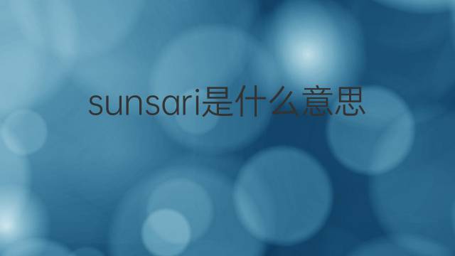 sunsari是什么意思 sunsari的中文翻译、读音、例句