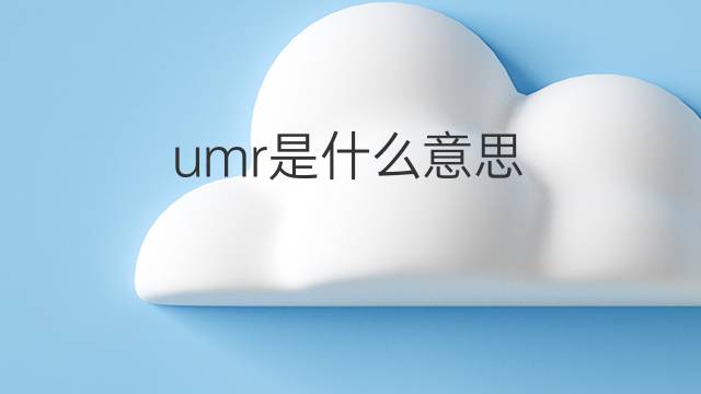 umr是什么意思 umr的中文翻译、读音、例句