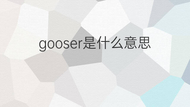 gooser是什么意思 gooser的中文翻译、读音、例句