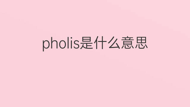 pholis是什么意思 pholis的中文翻译、读音、例句