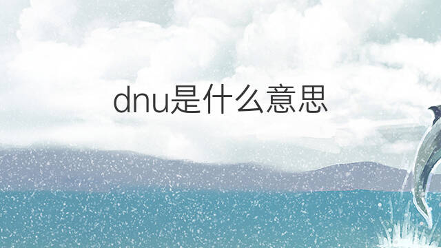 dnu是什么意思 dnu的中文翻译、读音、例句