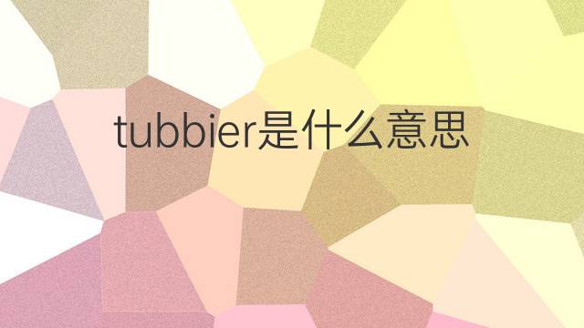 tubbier是什么意思 tubbier的中文翻译、读音、例句