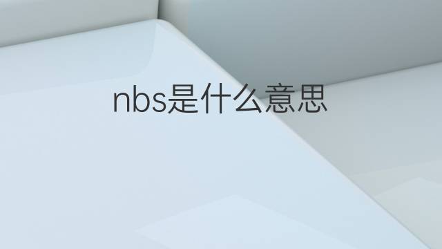 nbs是什么意思 nbs的中文翻译、读音、例句