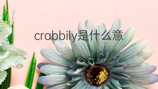 crabbily是什么意思 crabbily的中文翻译、读音、例句