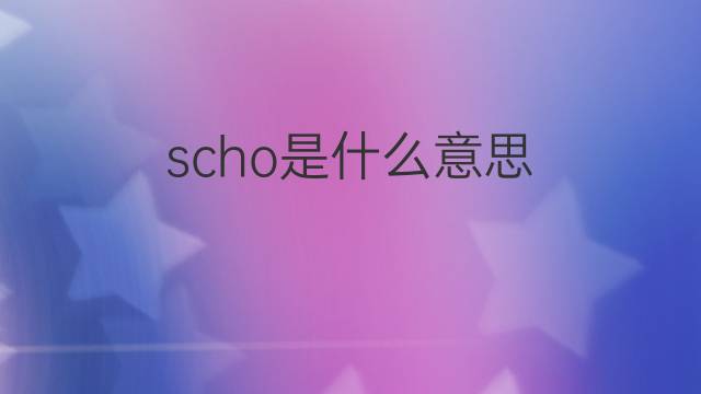 scho是什么意思 scho的中文翻译、读音、例句