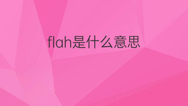 flah是什么意思 flah的中文翻译、读音、例句