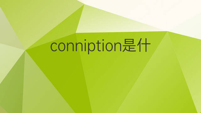 conniption是什么意思 conniption的中文翻译、读音、例句