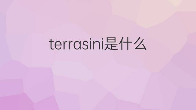 terrasini是什么意思 terrasini的中文翻译、读音、例句