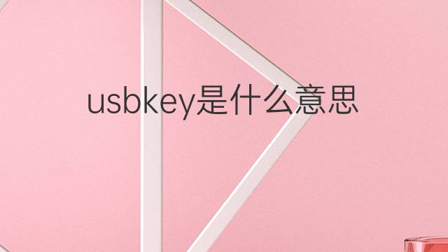 usbkey是什么意思 usbkey的中文翻译、读音、例句