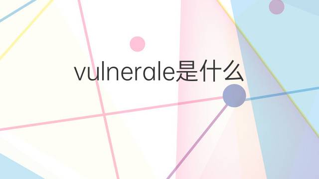 vulnerale是什么意思 vulnerale的中文翻译、读音、例句