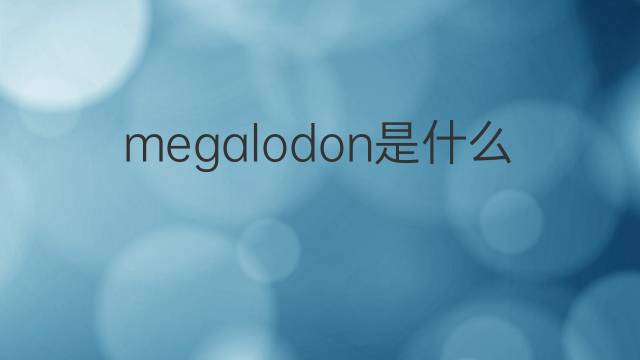megalodon是什么意思 megalodon的中文翻译、读音、例句