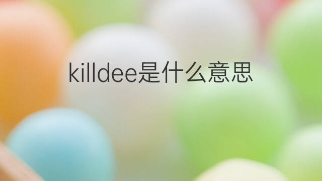 killdee是什么意思 killdee的中文翻译、读音、例句
