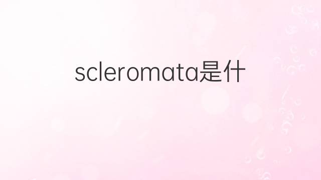 scleromata是什么意思 scleromata的中文翻译、读音、例句