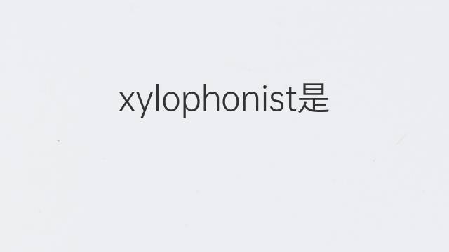 xylophonist是什么意思 xylophonist的中文翻译、读音、例句