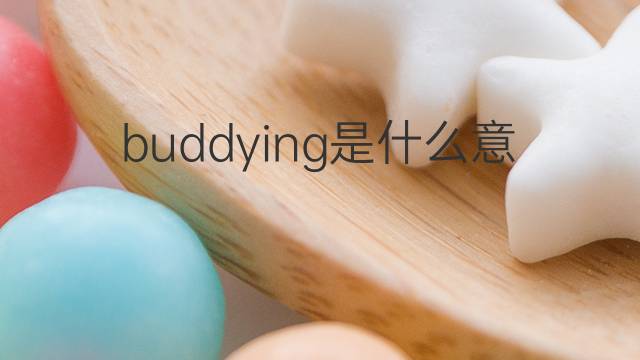 buddying是什么意思 buddying的中文翻译、读音、例句