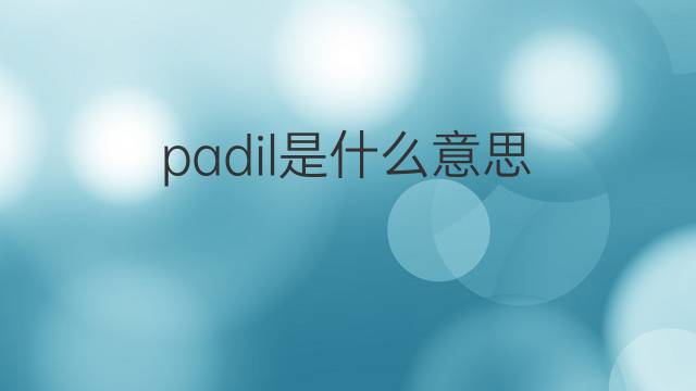 padil是什么意思 padil的中文翻译、读音、例句