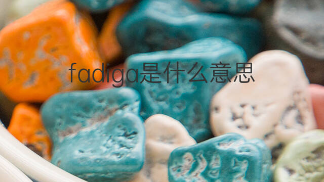 fadiga是什么意思 fadiga的中文翻译、读音、例句