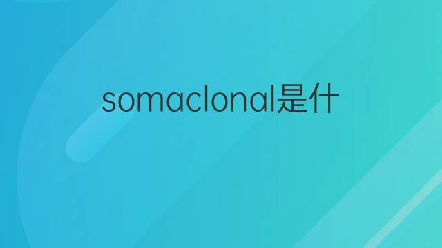 somaclonal是什么意思 somaclonal的中文翻译、读音、例句