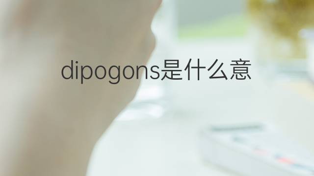 dipogons是什么意思 dipogons的中文翻译、读音、例句