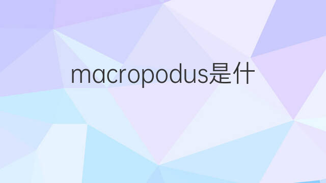 macropodus是什么意思 macropodus的中文翻译、读音、例句